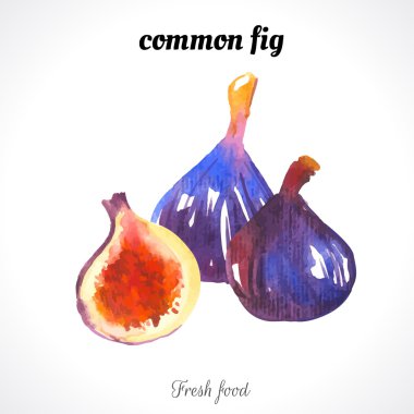 sulu boya taze yiyecek.