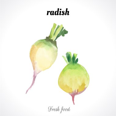 sulu boya taze yiyecek