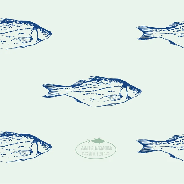 Drawing fish set — Stock Vector