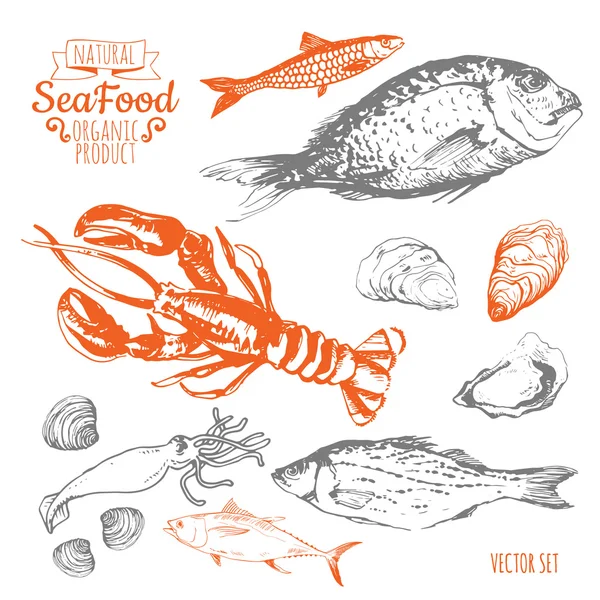 Hand drawing set of seafood — Stock Vector