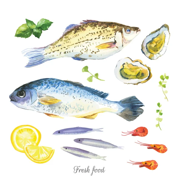 Aquarela alimentos frescos . — Vetor de Stock