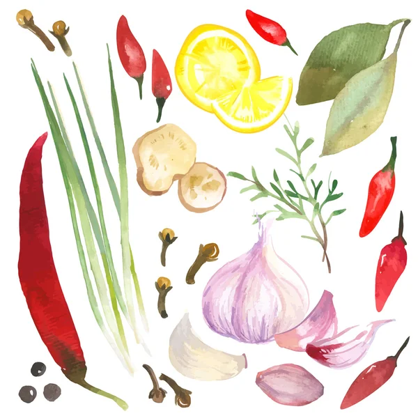 Aquarela alimentos frescos . — Vetor de Stock