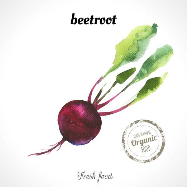 watercolor fresh food.