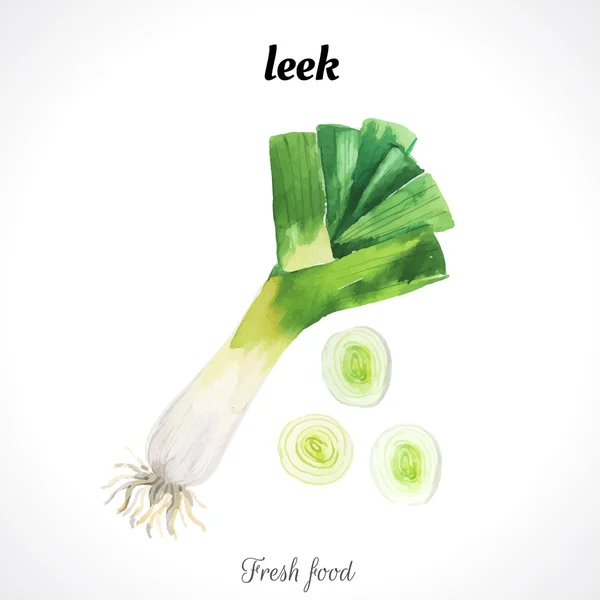 Watercolor fresh food — Stock Vector