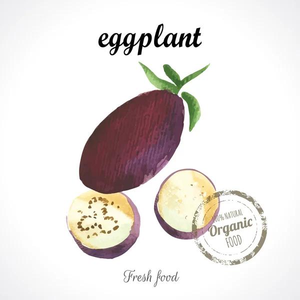 Aquarel aubergine. Provençaalse stijl. — Stockvector