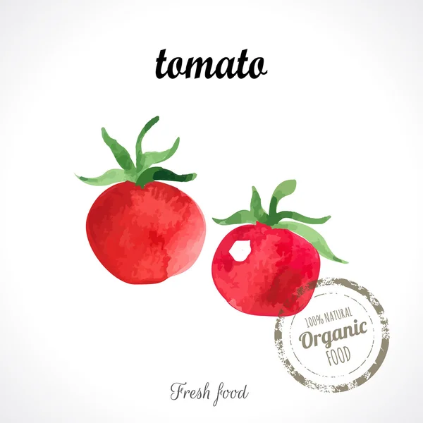 Akvarel Tomat grøntsager – Stock-vektor