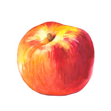 Şeftali. Sulu Boya meyve.