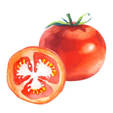 Suluboya sebze ile vektör illüstrasyon. 