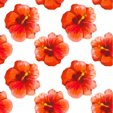 Kırmızı çin hibiscus ile vektör illüstrasyon. 