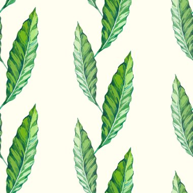 Tropikal yaprakları ile vektör illüstrasyon. 