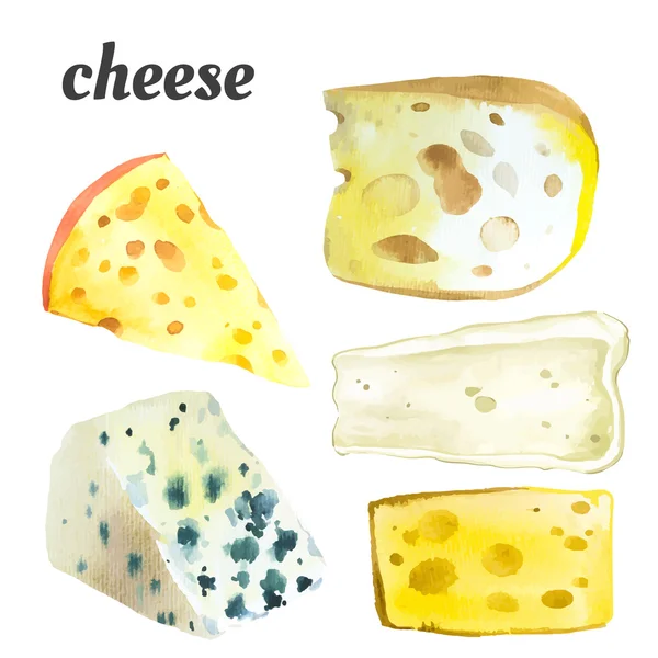 Vektör çizim suluboya gıda ile.