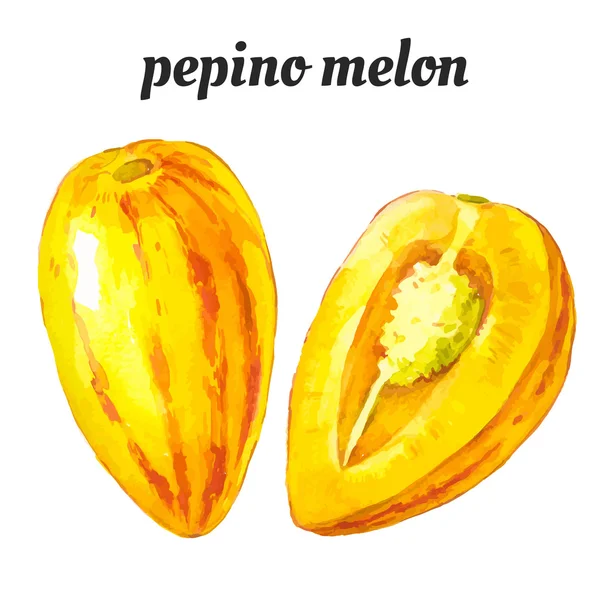 Fresh exotic fruit. Watercolor — Stockvector