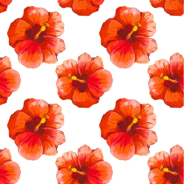 Illustration vectorielle avec hibiscus chinois rouge . — Image vectorielle