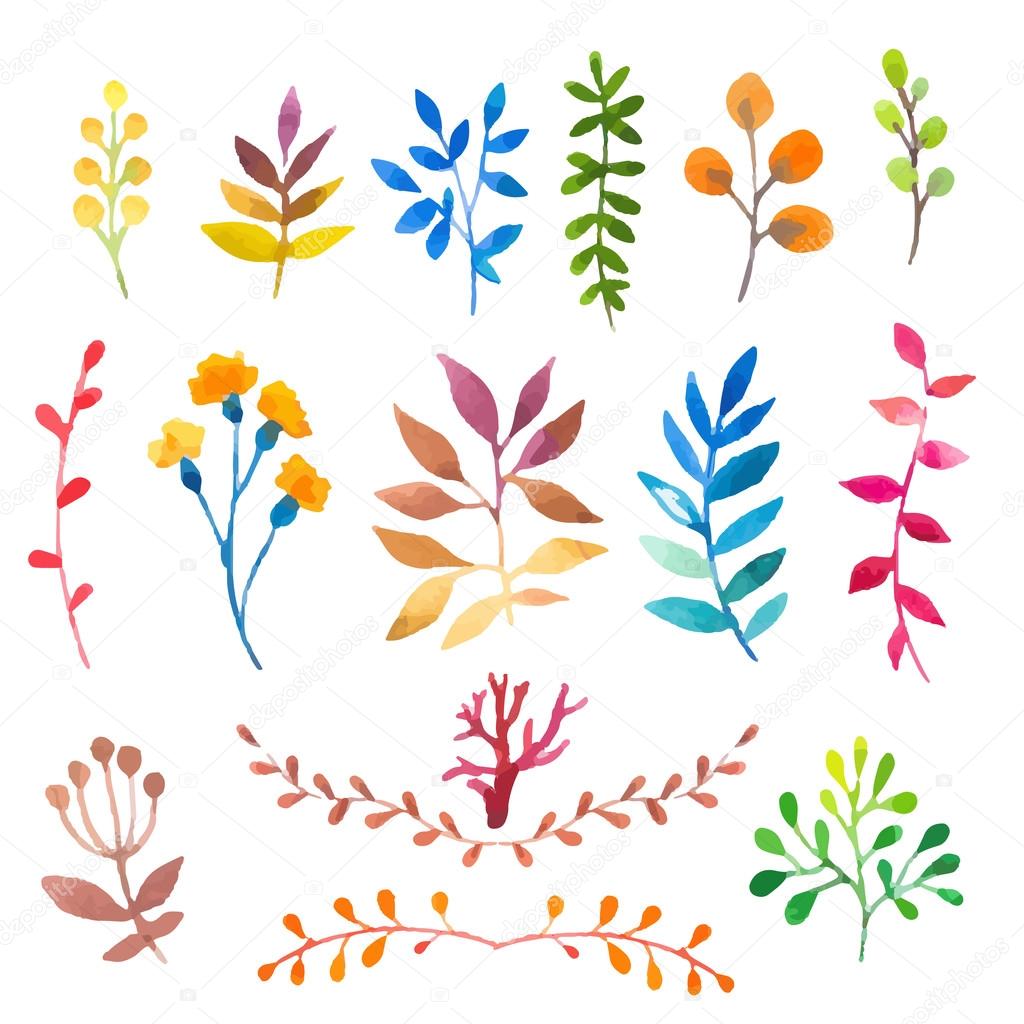 Vector Illustration. Hand-painted Watercolor Design Elements. 