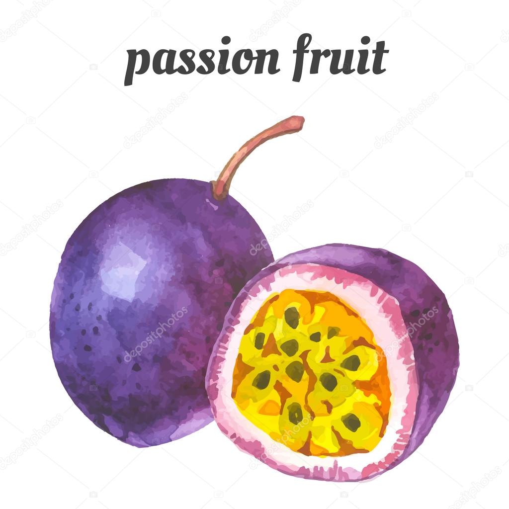 Vector illustration with watercolor fruit.