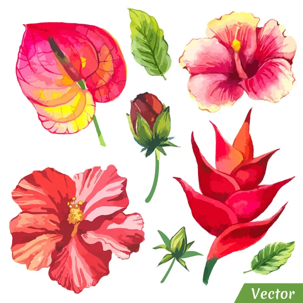 Vektorillustration mit Aquarellblumen. — Stockvektor