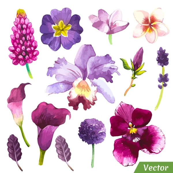 Illustrazione vettoriale con fiori ad acquerello . — Vettoriale Stock