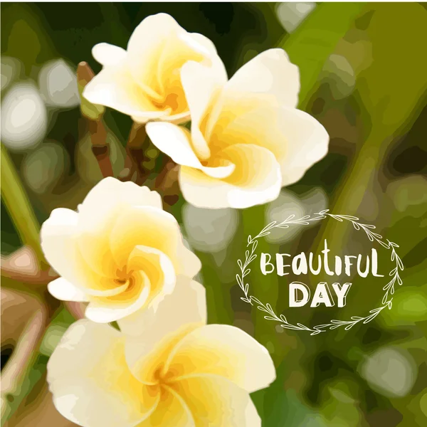 Illustration vectorielle d'un magnolia de fleurs tropicales . — Image vectorielle