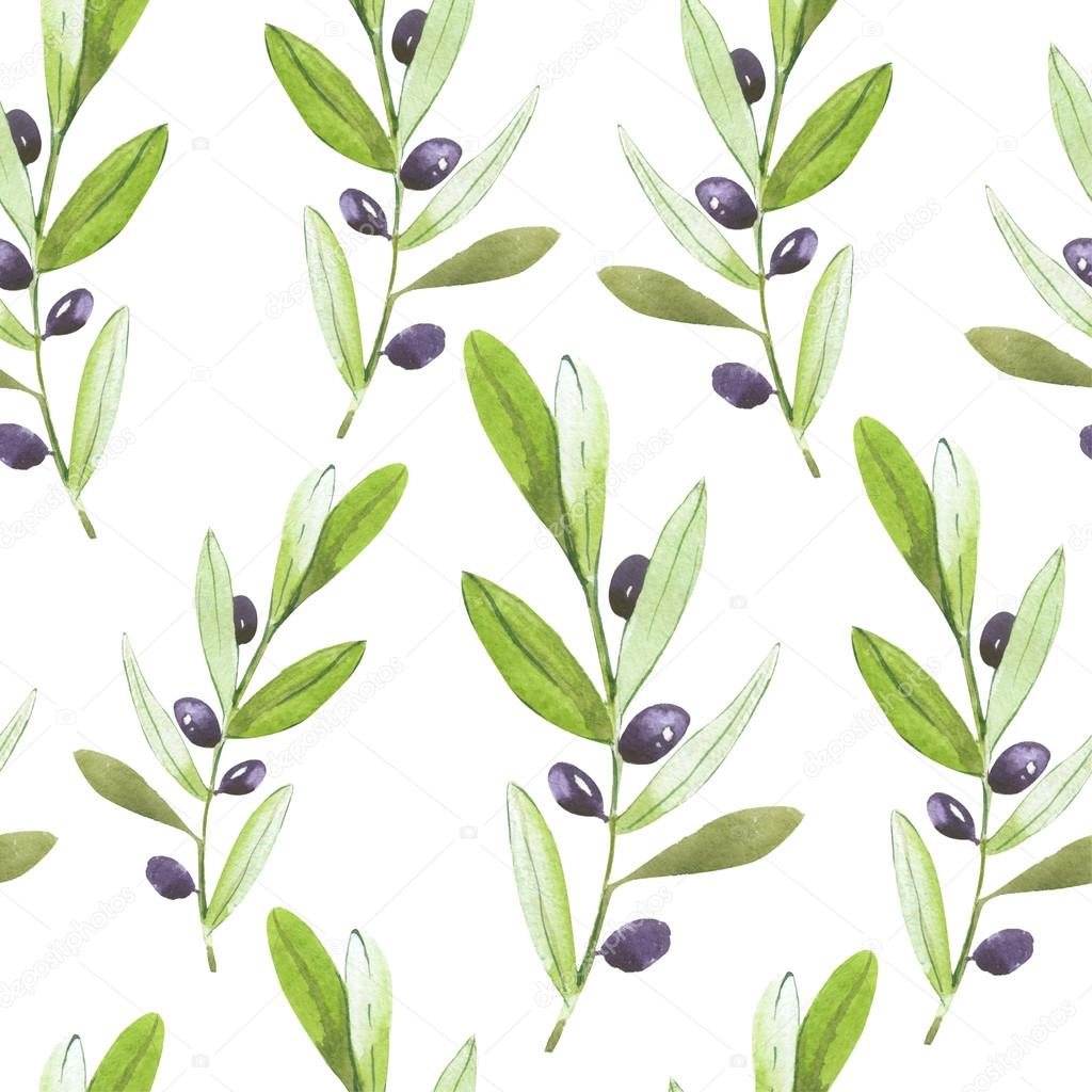 Olives background. Olive branch.