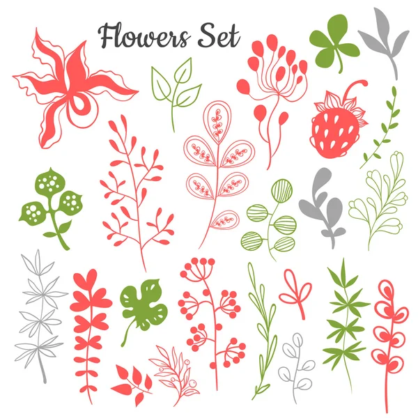 Flowers and leaves trendy set. — Stock Vector