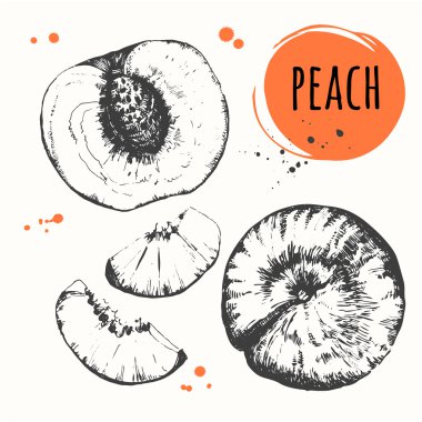 Elle çizilmiş şeftali kümesi. Taze organik gıda.