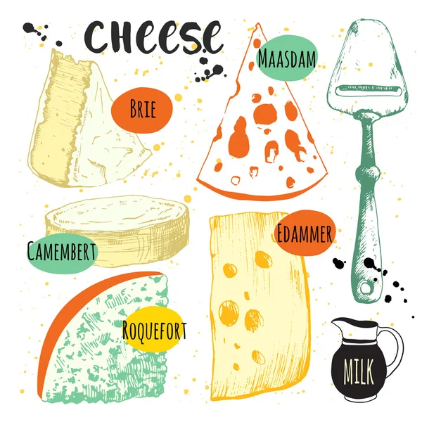Set with different noble cheeses. Bar of cheese. — Stock Vector