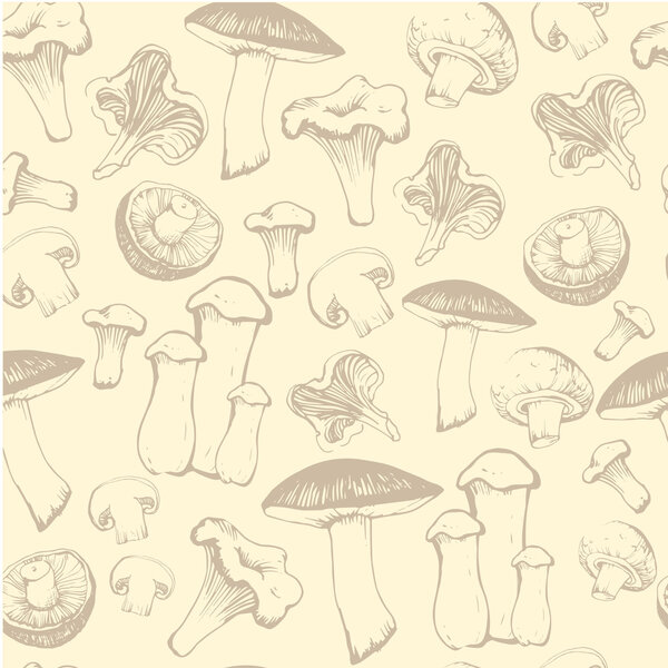 Hand-drawn sketch of mushrooms.