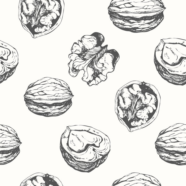 Hand-drawn sketch of walnuts.