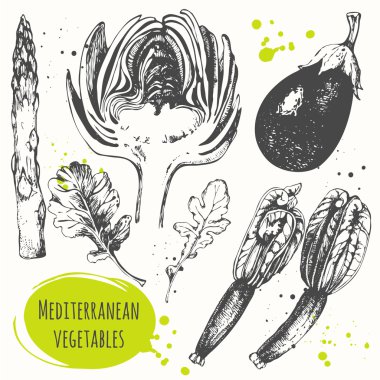 Set of hand drawn flower zucchini, artichoke, eggplant, arugula, asparagus.