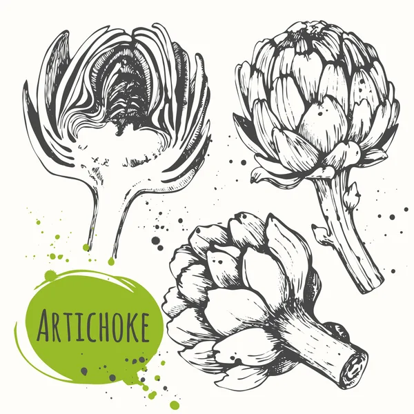 Aartichoke. Set of hand drawn artichoke. Fresh organic food. — Stockový vektor