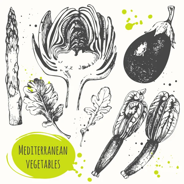 Set of hand drawn flower zucchini, artichoke, eggplant, arugula, asparagus. — Stock vektor