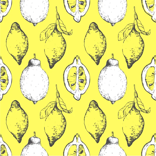 Ручной эскиз лимона. Цитрусовый рисунок . — стоковый вектор