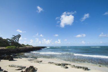 Hawaii Beach