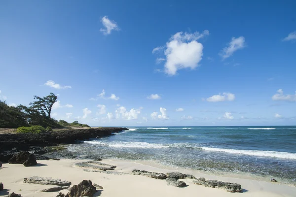 Hawaii Beach