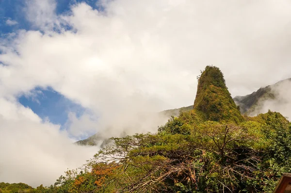 IAO Valley, Maui, Hawaii, ABD IAO iğne