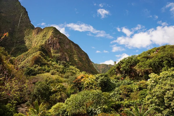 IAO Valley, Maui Adası, Hawaii, ABD