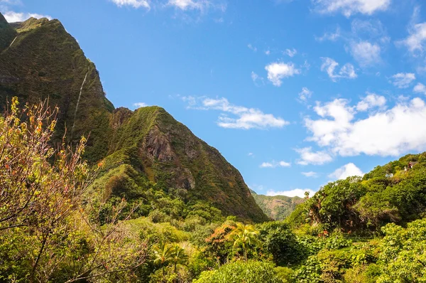 Iao Valley, isola di Maui, Hawaii, Stati Uniti d'America — Foto Stock