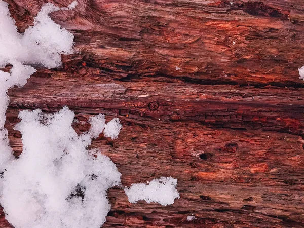 木と雪の質感 — ストック写真