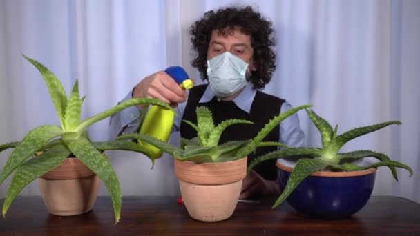 Jardinería Hombres Negocios Apartamento Durante Bloqueo Del Covid Coronavirus Cuarentena — Vídeos de Stock