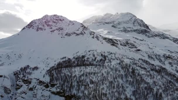 Spektakuläre Aufnahmen Der Schneebedeckten Berge Und Gletscher Des Piz Pal — Stockvideo