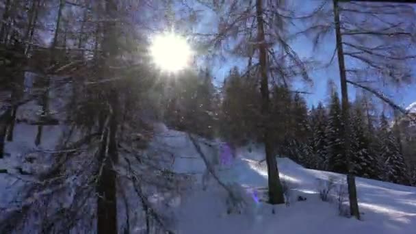 Velkolepé Záběry Okna Červeného Vlaku Bernina Express Lago Bianco Bílé — Stock video