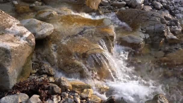 Vatten Som Rinner Över Sten Fjällbäck Efter Upptining Glaciäris Terrestra — Stockvideo