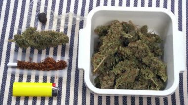 Avrupa, İtalya - Yabani marihuana iç tarım ve haşhaş ilacı - gittikçe daha fazla genç milenyum Covid-19 Coronavirus salgını sırasında ortak uyuşturucu kullanıyor - esrar sarmak için esrar sarmak 