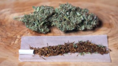 Avrupa, İtalya - Yabani marihuana iç tarım ve haşhaş ilacı - gittikçe daha fazla genç milenyum Covid-19 Coronavirus salgını sırasında ortak uyuşturucu kullanıyor - esrar sarmak için esrar sarmak 