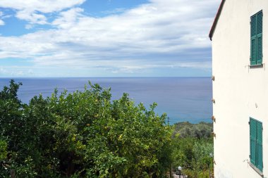 Ağaçlar ve Akdeniz manzarası  