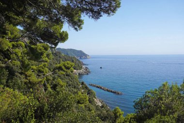 Bitkilerle ve Akdeniz 'le kıyı manzarası  