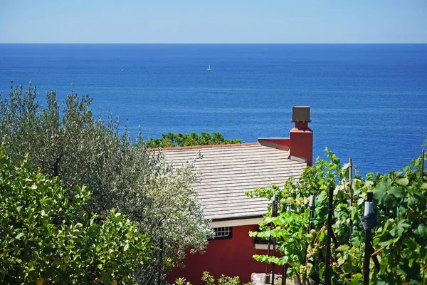 Vista Ciudad Azotea Mar Mediterráneo — Foto de Stock