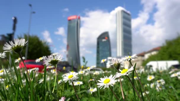 Europa Italia Milán Abril 2021 Flores Vegetación Las Plantas Frente — Vídeos de Stock