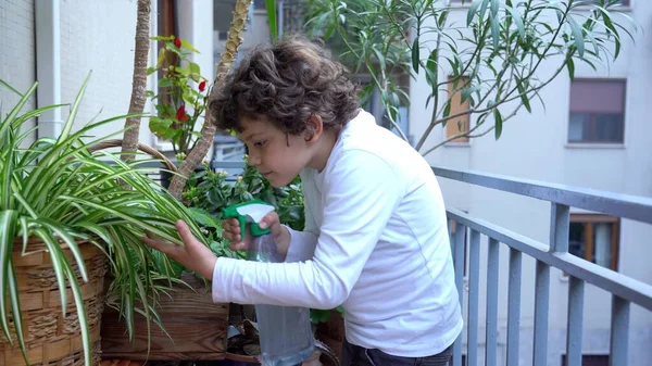 Europa Italien Mailand Junge Kind Jahre Alt Gartenarbeit Pflege Und — Stockfoto