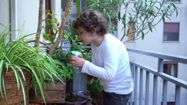 Europa Italia Milano Bambino Anni Giardinaggio Cura Irrigazione Piante Nel — Video Stock